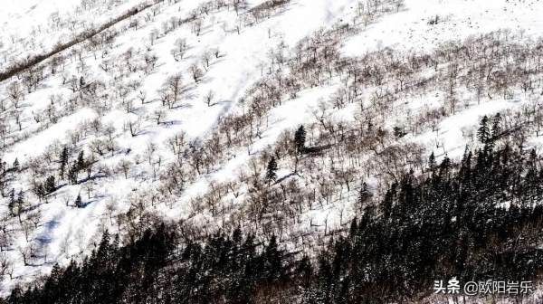 適合冬天出發的12條自駕路線，人少景美，來一場自駕之旅吧