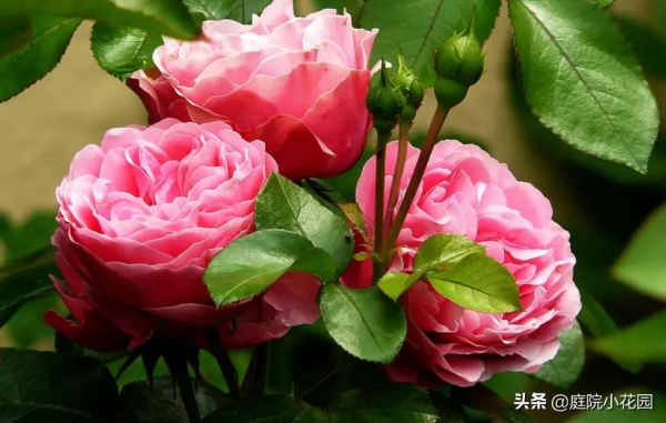 他賣掉城裡的房子，包了個山頭，打造集裝箱陽光房、小木屋、花園