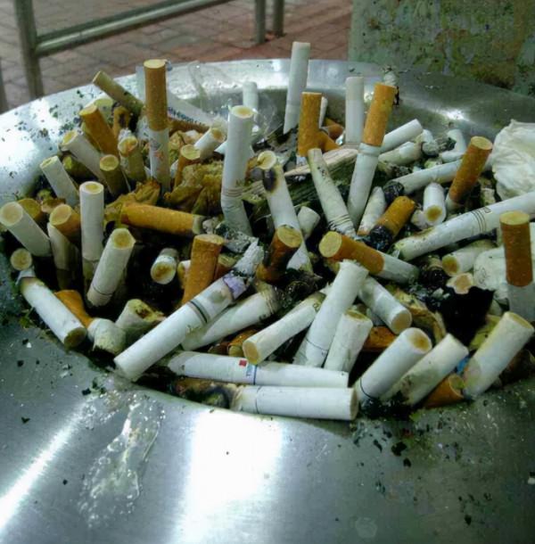 家裡的“3種灰”,能殺菌、促生根,盆裡撒1點,生長健康又旺盛 家裡的“3種灰”,能殺菌、促生根,盆裡撒1點,生長健康又旺盛