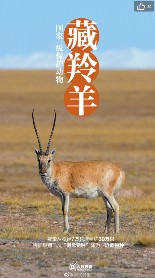 喜提降級 | 保護野生動物離我們並不遙遠