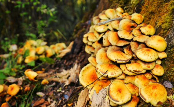 去西藏旅遊，這幾個地方一定不要錯過