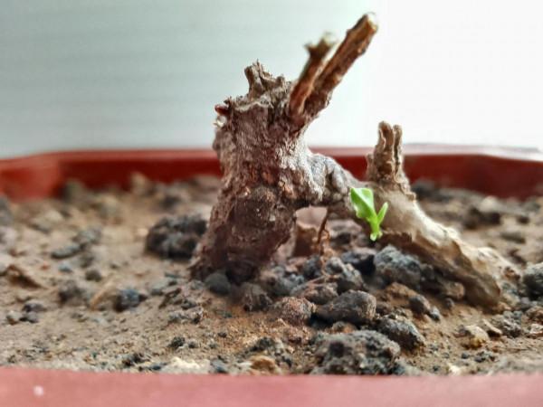 聊一聊瑜伽練習的基本原則