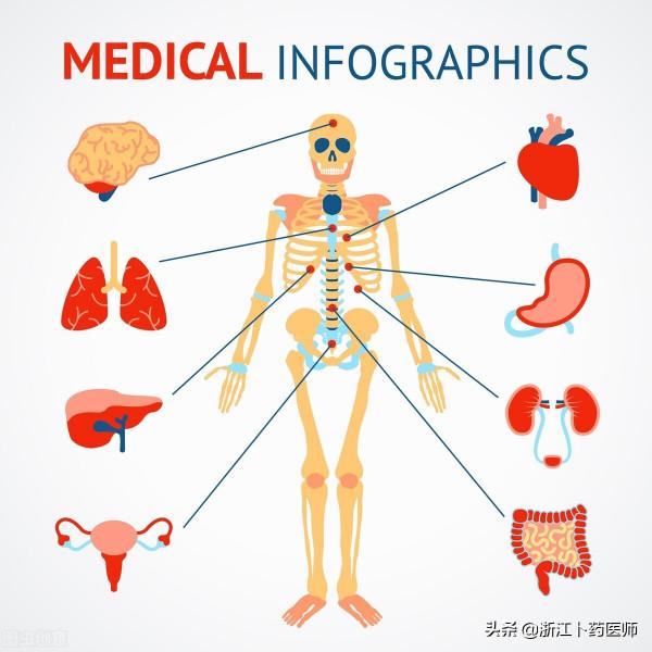 體質不同，進補的食物也不同，聽專家怎麼說