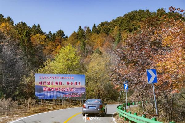 再過半個月,安徽一地將迎來震撼秋色,沿途免費適合自駕 再過半個月,安徽一地將迎來震撼秋色,沿途免費適合自駕