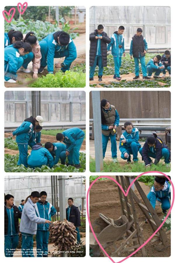 拓展鍛鍊情商 快樂滋養生命——山師二附中21級五班拓展活動 拓展鍛鍊情商 快樂滋養生命——山師二附中21級五班拓展活動