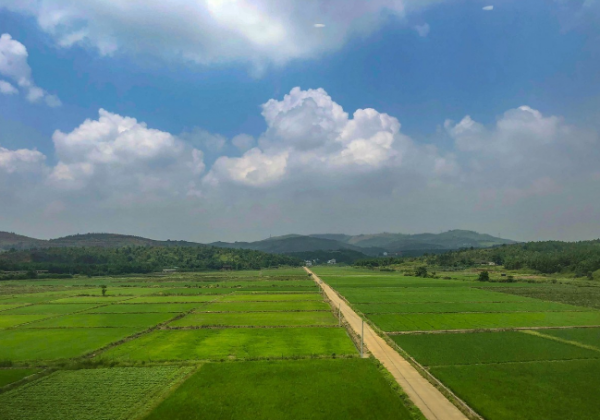 田野鄉村，風景如畫