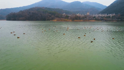 江北~隱藏著你嚮往的詩和遠方... 江北~隱藏著你嚮往的詩和遠方...