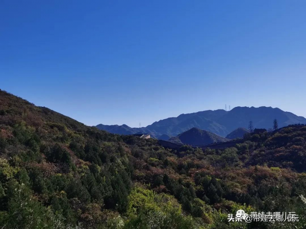 每年僅開放一個月的賞紅景點,到底值不值得去? 每年僅開放一個月的賞紅景點,到底值不值得去?