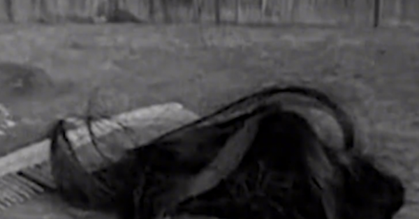 貴州出現“鬼剃頭”現象，村民集體脫髮，專家調查後也開始脫髮