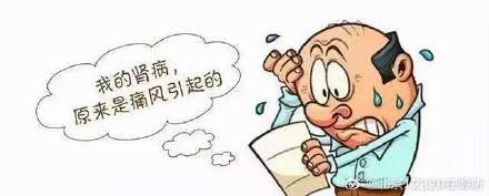 高尿酸血癥與痛風對人體究竟有多大危害？