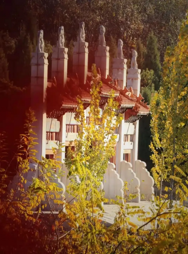 今日起清東陵景區門票價格大幅下調，趕緊安排上~~