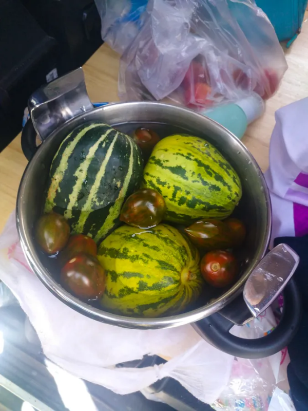 橫穿內蒙古，旅行接近尾聲