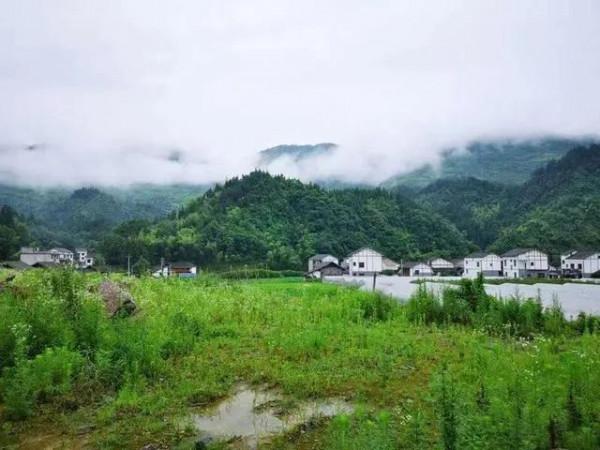 分享—十萬大山風光