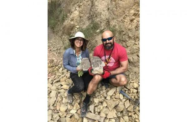 毀滅恐龍的小行星造就了南美洲的熱帶雨林