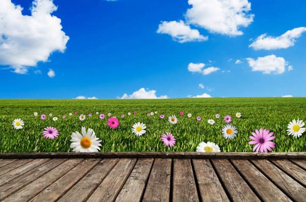 圖片分享一一乎倫貝爾大草原美景