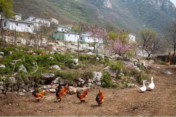 房山瘋狂“猿”始人 部落記 | 訪猿人遺蹟、對話古岩層、狩獵覓食大狂歡
