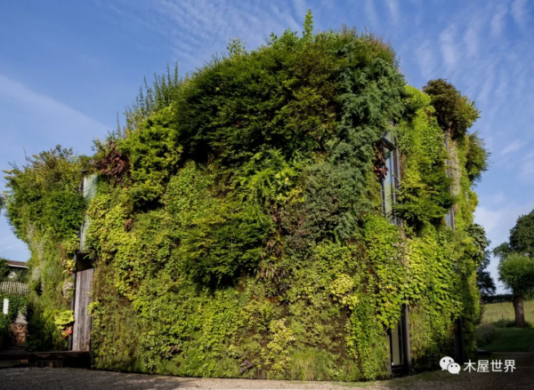這樣建房子，城市熱島效應？不存在的！——Brussels 木屋住宅