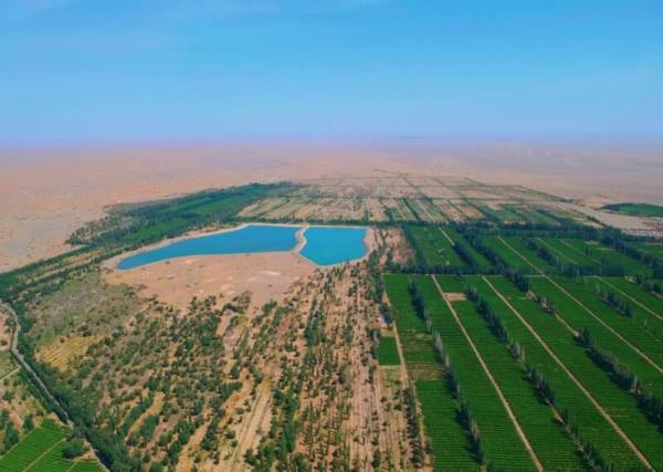 如果把所有沙漠都變成森林會怎樣？科學家：代價恐怕難以承受