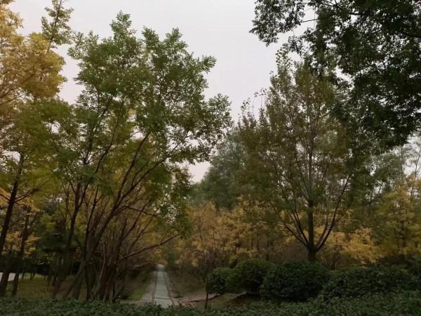 人生沒有承不下的事 人生沒有承不下的事