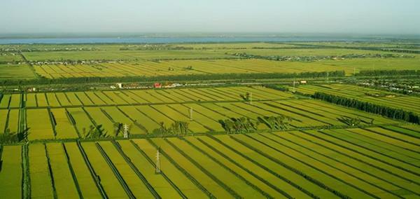 草民看歷史：“食”遍天下與原始農業文明（二）