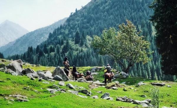 中國最美的9大草原，一輛車，三五好友，就可以馳騁在草原上