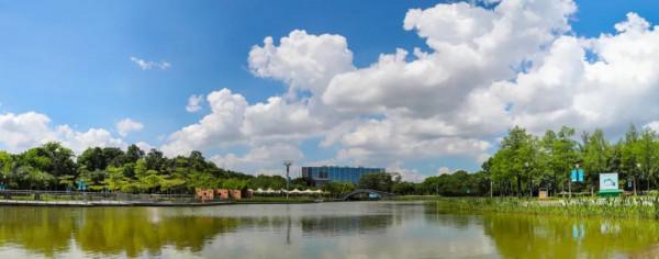 人間四月天，在坪山眼見皆美好