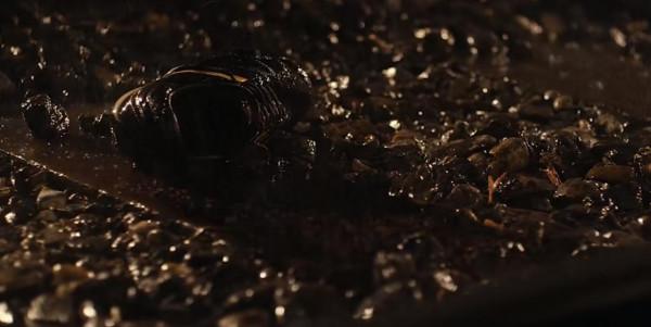 學生被集體侵犯，真實事件改編，雖令人窒息，我卻想讓更多人看到