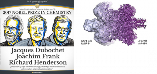 如何在針尖上寫一部百科全書