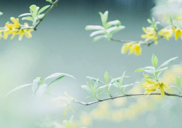 你在哪天出生,就是哪首詩 你在哪天出生,就是哪首詩