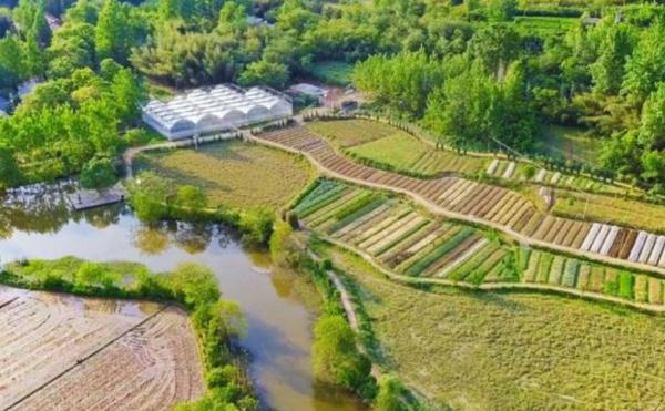 騰訊元老魏震：賺夠錢後辭職、攜妻兒退隱山林，每天種地喝茶？