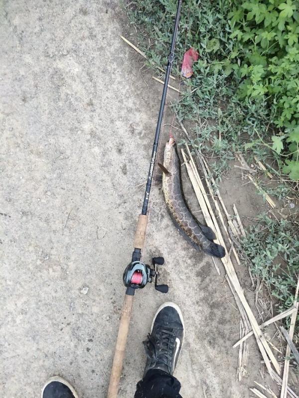 “雷強釣法”打假篇,新手以及傳道授業的“大師” “雷強釣法”打假篇,新手以及傳道授業的“大師”