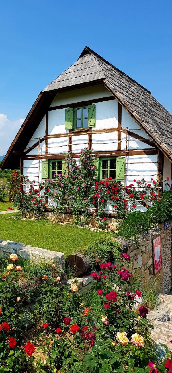 桌布｜鄉村小屋-溫柔的家