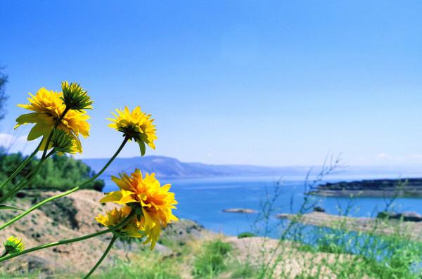 極簡生活和努力攢錢第15天&mdash;&mdash;那些年交過的智商稅