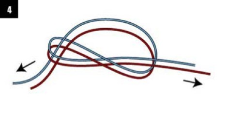 釣魚人必須知道的四種基礎線結綁法