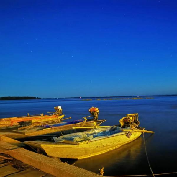 臨江仙.江城秋葉