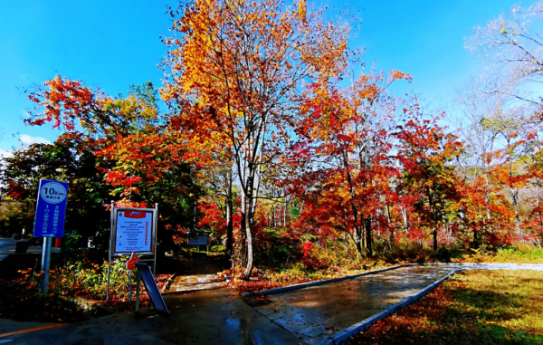 這個十月， 敦化寒蔥嶺許你一個浪漫的秋季