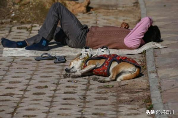 火，火，需要火！新德里無家可歸者在嚴寒中被凍得瑟瑟發抖