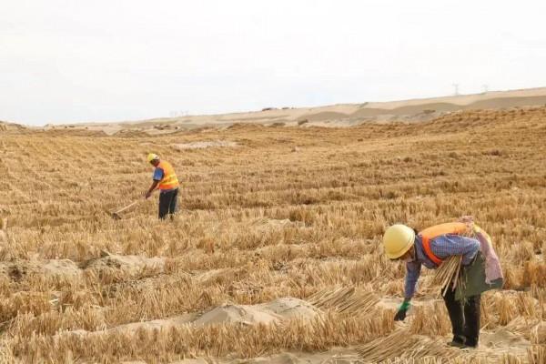 在“死亡之海”建公路 | 科普央企那些事兒