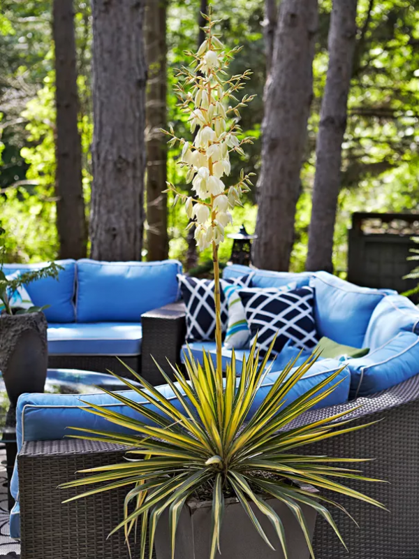 以傳統方式打造現代風庭院，這座庭院別出心裁&period;&period;