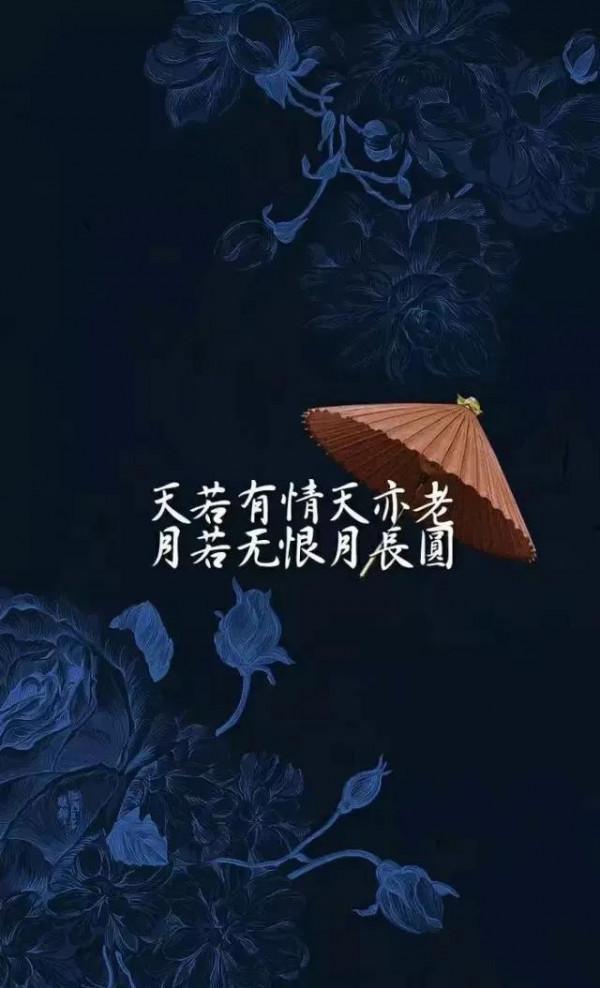 我喜歡…… 我喜歡……