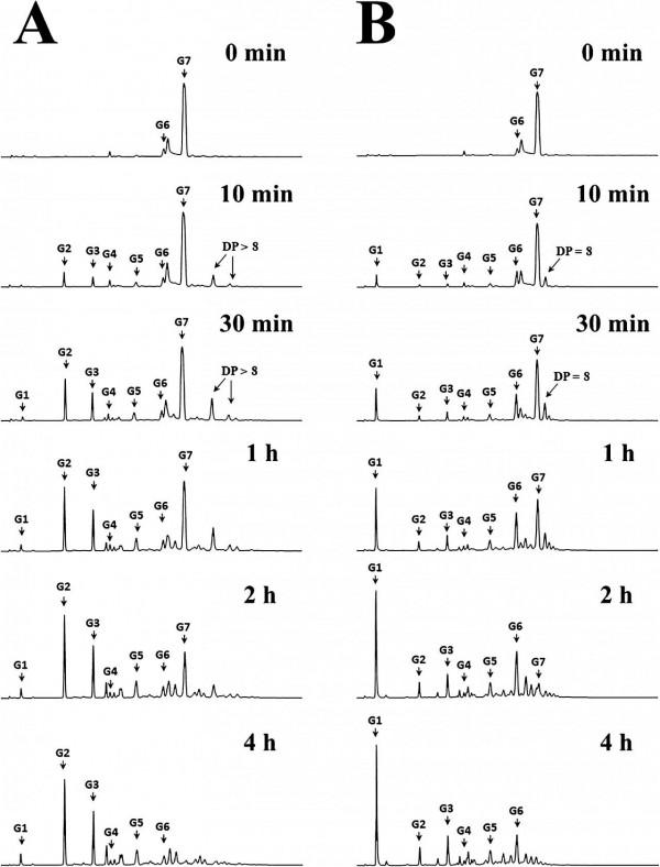 J. Agric. Food Chem.│兩個關鍵氨基酸殘基的定向突變改變來自耐熱芽孢桿菌的4,6-α-葡萄糖轉移酶的產物結構 J. Agric. Food Chem.│兩個關鍵氨基酸殘基的定向突變改變來自耐熱芽孢桿菌的4,6-α-葡萄糖轉移酶的產物結構