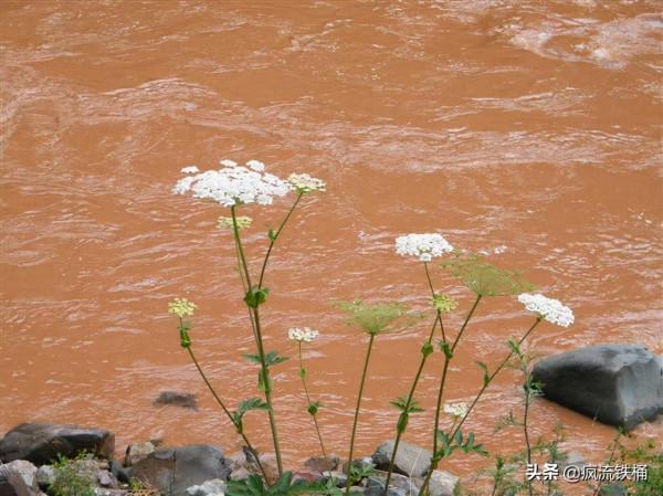 徒步西藏第36天：一個人孤獨地走在路上，腦袋在想些什麼呢？