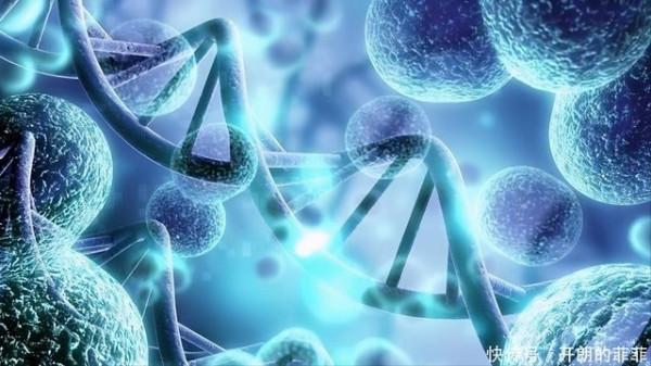 為什麼是微生物統治了宇宙？