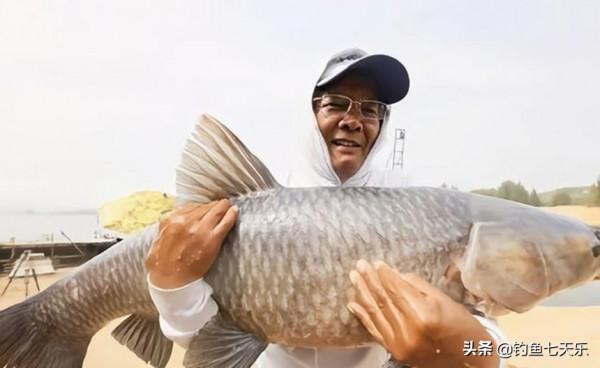 釣魚界的&OpenCurlyDoubleQuote;化氏&rdquo;有點亂！師徒不和紛爭四起，結局不算完美