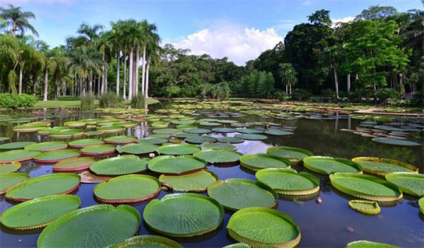 國內旅遊那些出名的打卡地