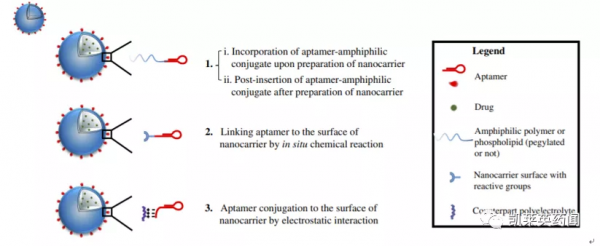 新藥巡禮：核酸“抗體”曙光已現，NOX-A12發力腫瘤治療