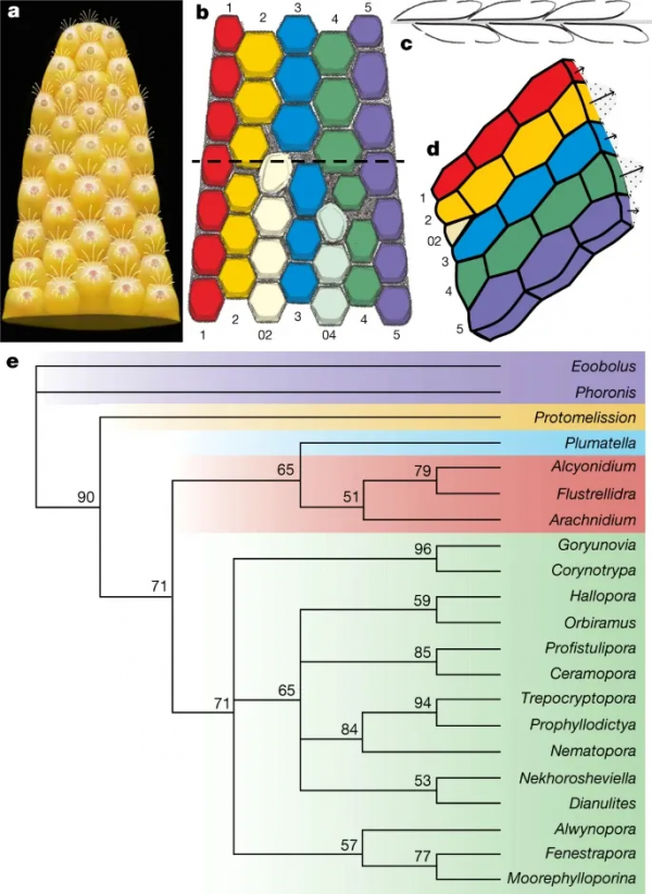 1天齊發5篇Nature,我國高校,牛 1天齊發5篇Nature,我國高校,牛