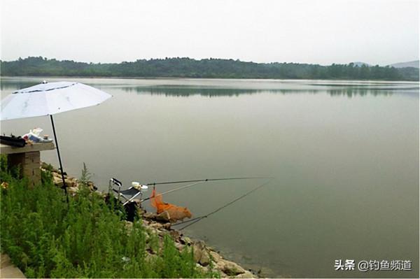 秋釣遛邊魚,這五種釣位最出魚 秋釣遛邊魚,這五種釣位最出魚