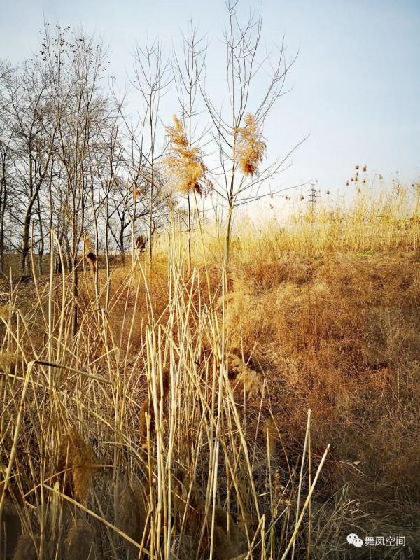 房山牛口峪溼地公園,沒想到風景如此優美 房山牛口峪溼地公園,沒想到風景如此優美