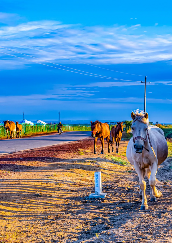 冬奧會倒計時22天！這座曾經比肩北京的老城，“國際張”藏不住了